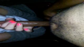 Cette grosse chienne veut cette énorme queue