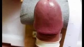 Amateurs, TTBM, Branlette, Sextoys