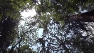 Vérifiez votre âge