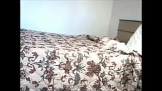 Vérifiez votre âge