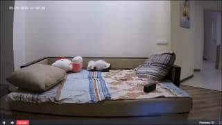 Vérifiez votre âge