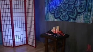 Vérifiez votre âge