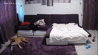 Vérifiez votre âge