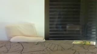 Vérifiez votre âge