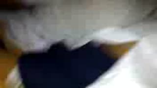 Vérifiez votre âge