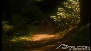 Vérifiez votre âge