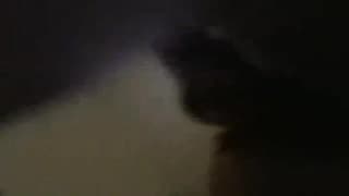Vérifiez votre âge