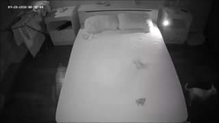 Vérifiez votre âge