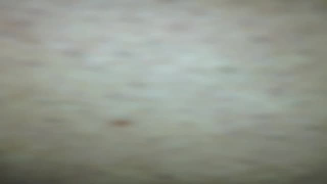 Vérifiez votre âge