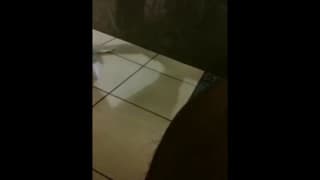 Vérifiez votre âge