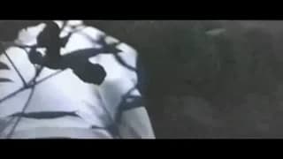 Vérifiez votre âge