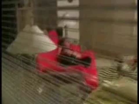 Vérifiez votre âge