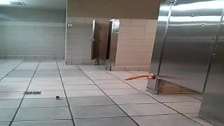 Vérifiez votre âge