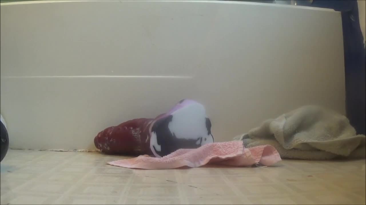 Vérifiez votre âge