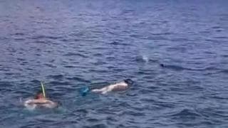 Couple qui va coucher sous la mer les amis