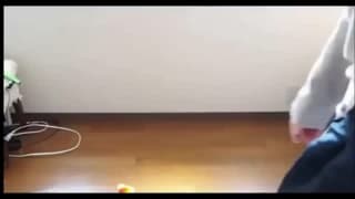 Vérifiez votre âge