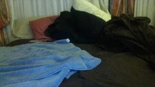 Vérifiez votre âge