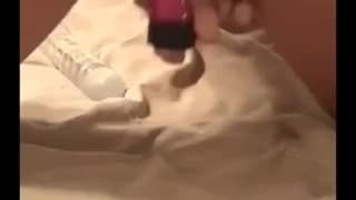 Vérifiez votre âge