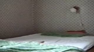 Vérifiez votre âge