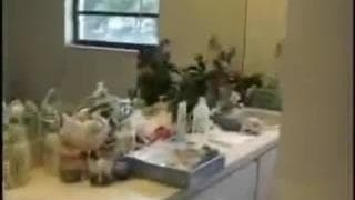 Vérifiez votre âge