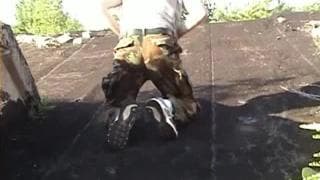 Amateurs, Branlette, Fetichiste, Sextoys, Dogging