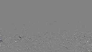 French Kiss, Blowjob, Missionnaire, Cowgirl Inversée, Cowgirl, Ejac sur Corps