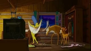 Vérifiez votre âge