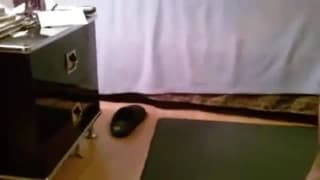 Hairy Pussy, Webcam, Latina, Ejaculation Interne