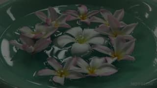 Vérifiez votre âge