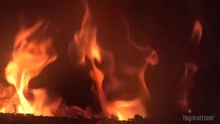 Vérifiez votre âge