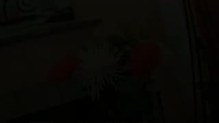 Vérifiez votre âge