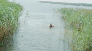 Vérifiez votre âge