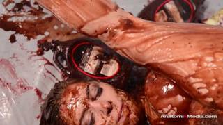 Orgie lesbienne riche en tarte aux myrtilles !