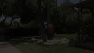 Vérifiez votre âge