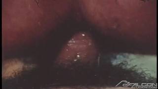 Eric Nolte prend un malin plaisir a sauter sur la queue de Mac Turner