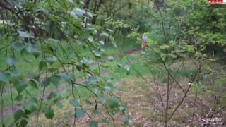 Ce couple improvise un scénario en forêt