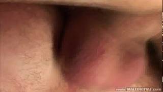 Joshua Rodgers, Rick Bauer et Zsolt Kolumbiai dans un trio chaud