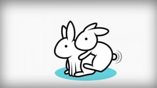 Vidéo de sexe maison en cuisine entre un couple excité