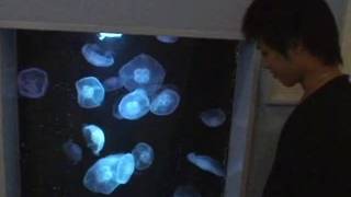 Mecs orientaux mignons nous montrent comment ils jouent à l'anal