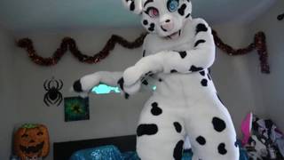 Vérifiez votre âge