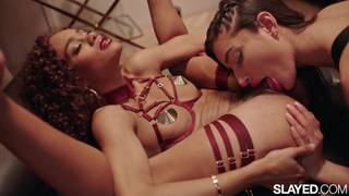 Les lesbiennes aiment baiser en lingerie sexy