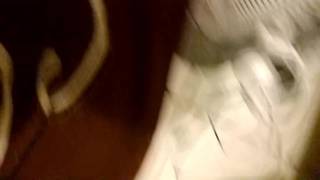 Sextape en gros plan 100% amateur français