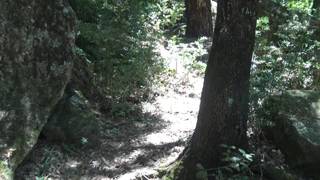 Vérifiez votre âge