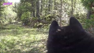 Vérifiez votre âge