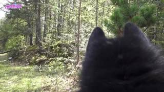 Vérifiez votre âge