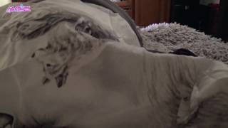 La belle Victoria Alouqua fait une fellation et baise