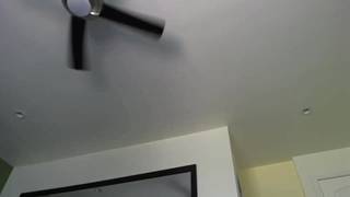 MILF bien salope jouit devant sa webcam