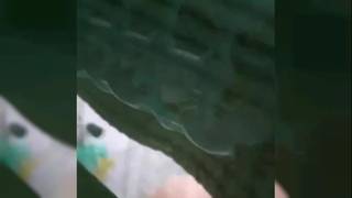 Vérifiez votre âge