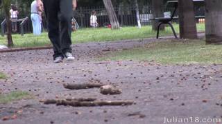 Ménage à trois avec des twinks gays