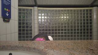 Dans n'importe quel WC public, la Française se filme en se masturbant